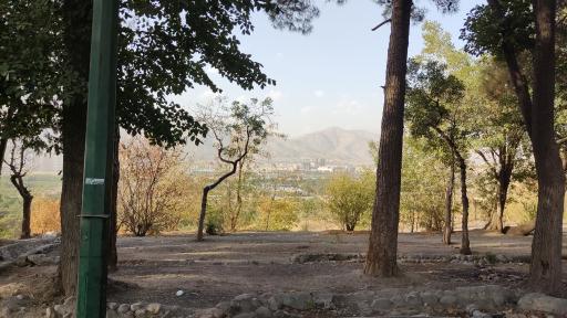 عکس بوستان جنگلی حیات وحش چیتگر