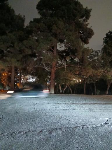 عکس بوستان جنگلی حیات وحش چیتگر