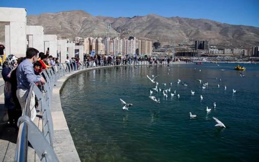 عکس بوستان جنگلی حیات وحش چیتگر