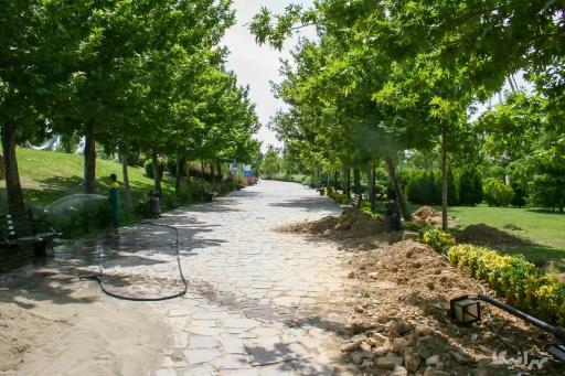 عکس بوستان جنگلی حیات وحش چیتگر