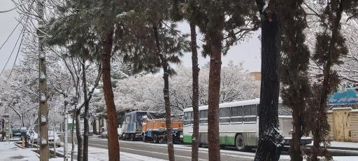 عکس ثارالله ۱۱