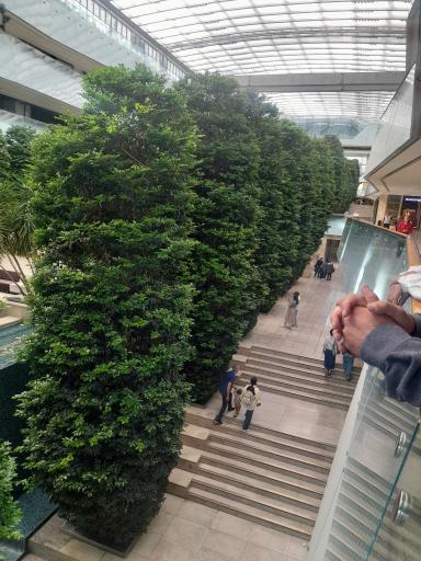 عکس باغ ماهان ایران مال