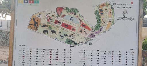 عکس بوستان جنگلی حیات وحش چیتگر