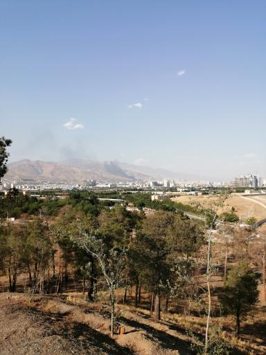 عکس بوستان جنگلی حیات وحش چیتگر