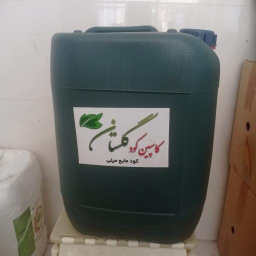 عکس کود کاووس ایرانیان