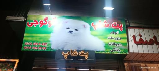 عکس پت شاپ گوگوجی