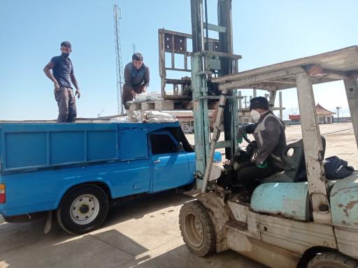 عکس کود کاووس ایرانیان