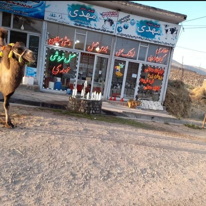 عکس عسل فروشی مهدی