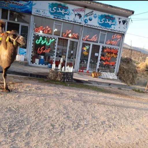 عکس عسل فروشی مهدی