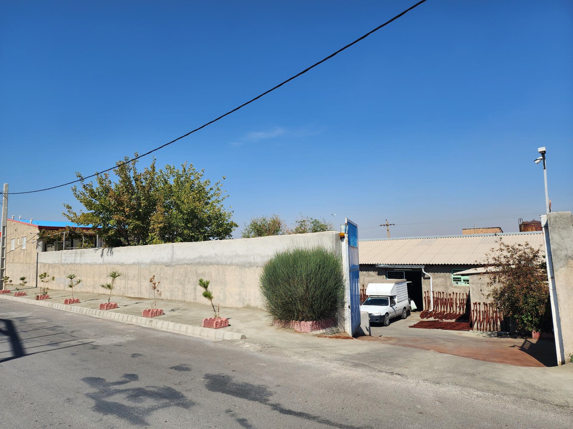 عکس گل سازی کاج