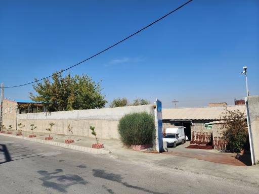 عکس گل سازی کاج