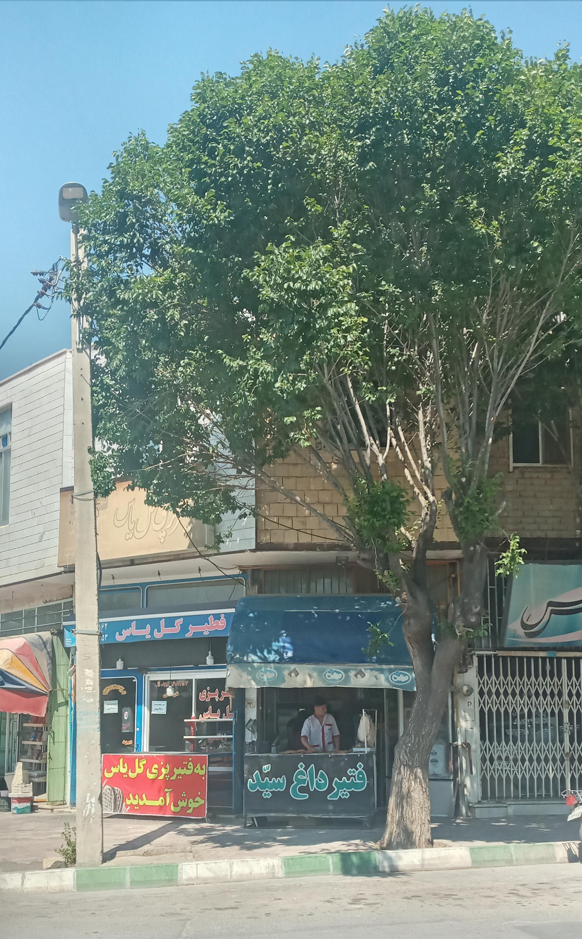 عکس نان فطیر گل یاس 