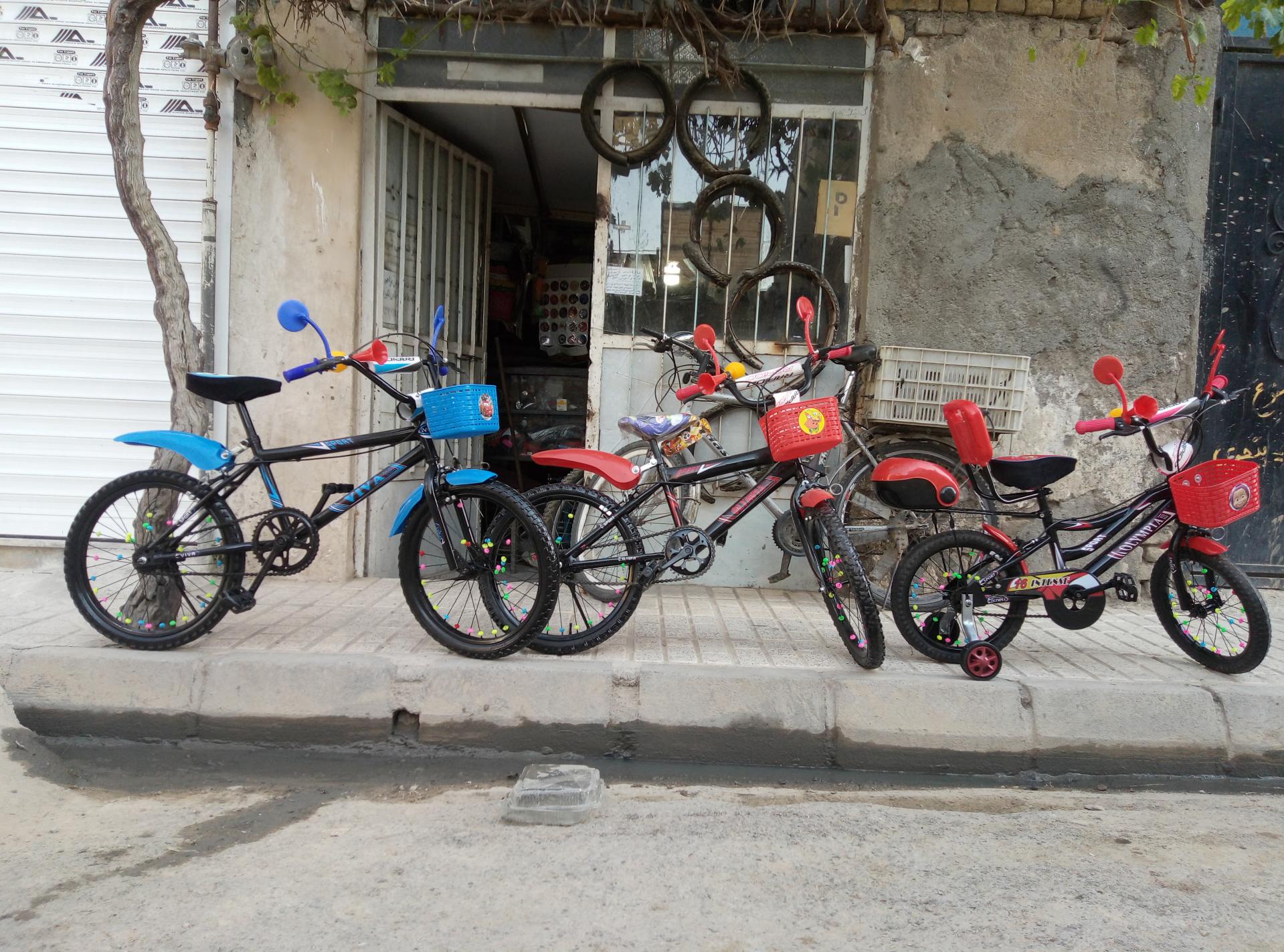 عکس دوچرخه سازی سید محمود