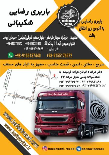 عکس باربری رضایی 