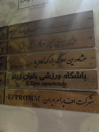باشگاه بانوان زینو