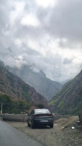 عکس سیاه بیشه
