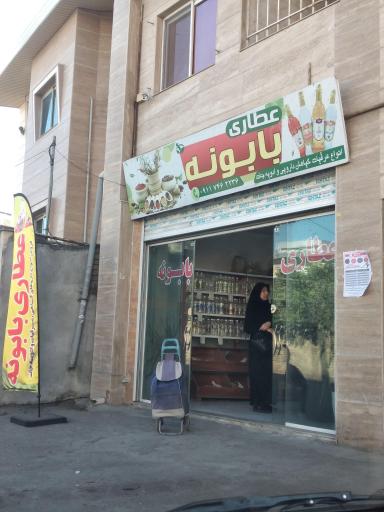 عکس عطاری بابونه