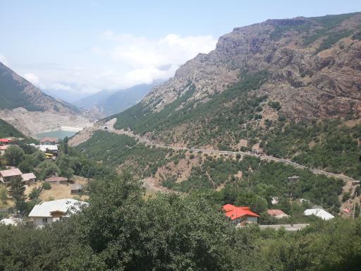 سیاه بیشه