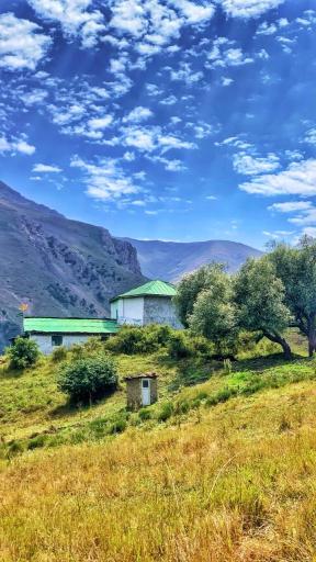 عکس سیاه بیشه