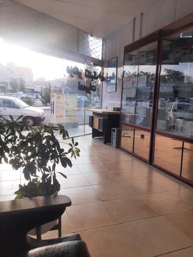 دزدگیر تکنیک شرق