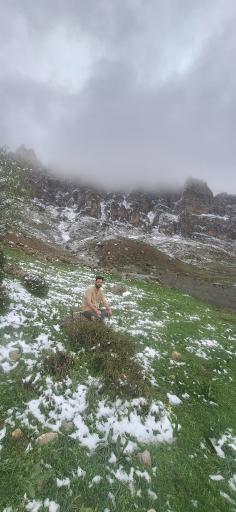 عکس سیاه بیشه