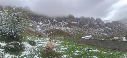عکس سیاه بیشه
