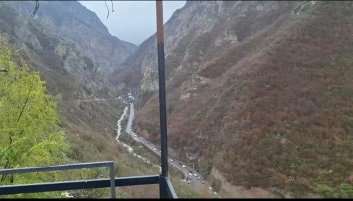 عکس سیاه بیشه
