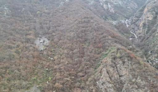 عکس سیاه بیشه