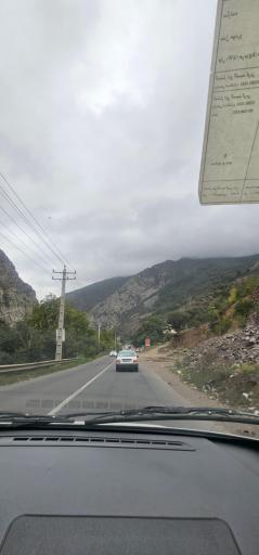 عکس سیاه بیشه