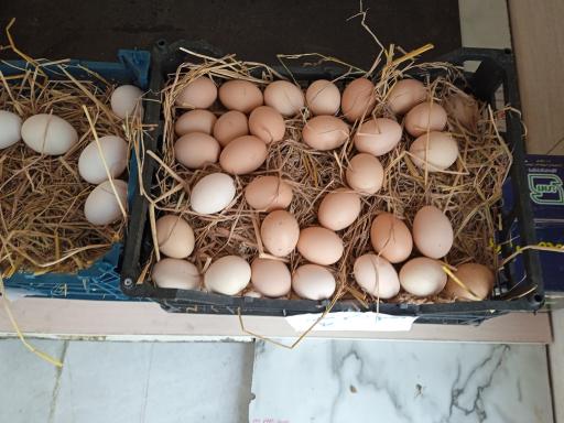 عکس سوغات سرای  یاس