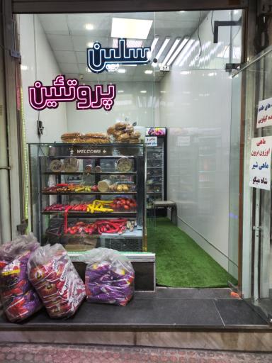 عکس سلین پروتئین