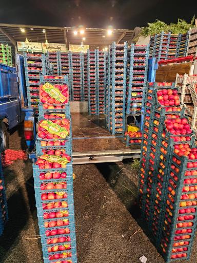 عکس حق العملکاری حاج حسن صابری و پسران 