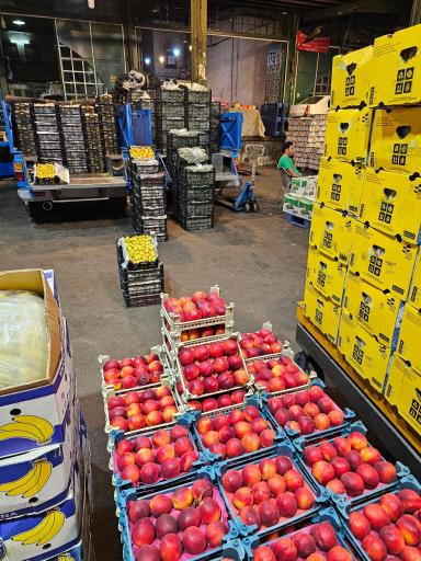 عکس حق العملکاری حاج حسن صابری و پسران 