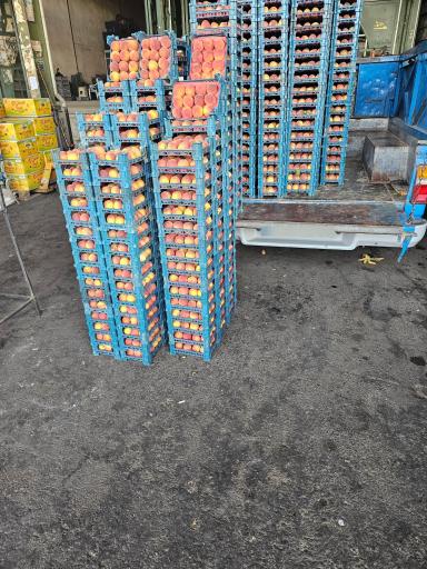 عکس حق العملکاری حاج حسن صابری و پسران 