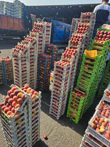 عکس حق العملکاری حاج حسن صابری و پسران 