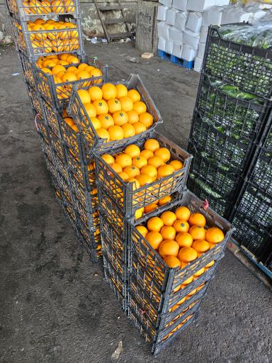 عکس حق العملکاری حاج حسن صابری و پسران 