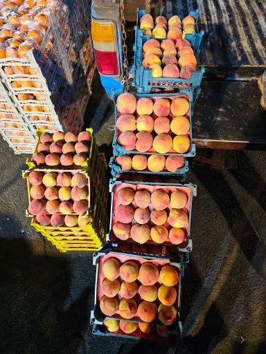 عکس حق العملکاری حاج حسن صابری و پسران 