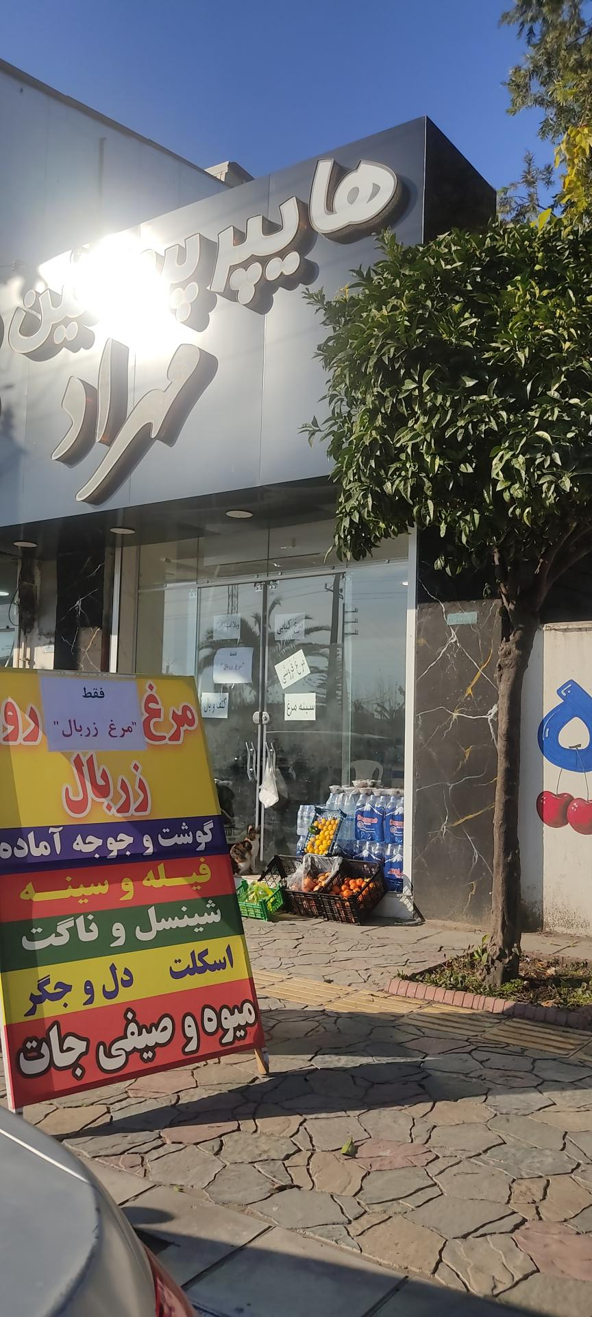 عکس هایپر پروتئینی مِهراد