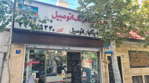رنگ اتومبیل سیفی