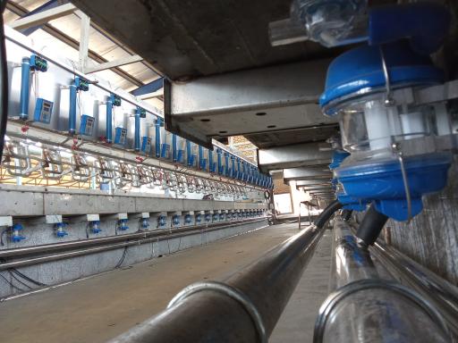 عکس اتوماسیون شیردوش آریو تکنولوژی 