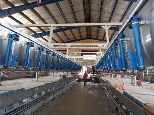 عکس اتوماسیون شیردوش آریو تکنولوژی 