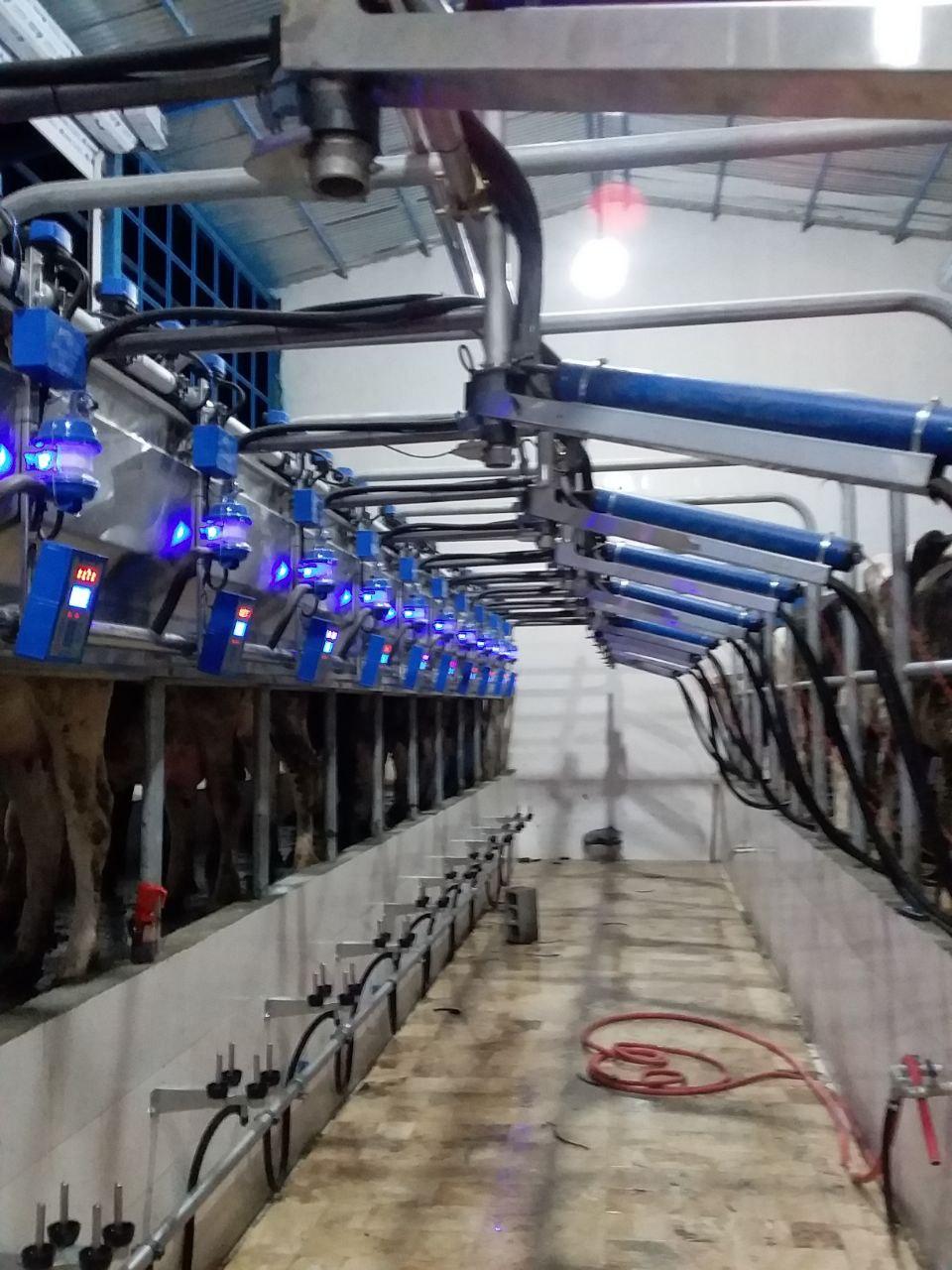 عکس اتوماسیون شیردوش آریو تکنولوژی 