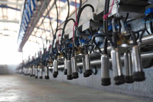 عکس اتوماسیون شیردوش آریو تکنولوژی 