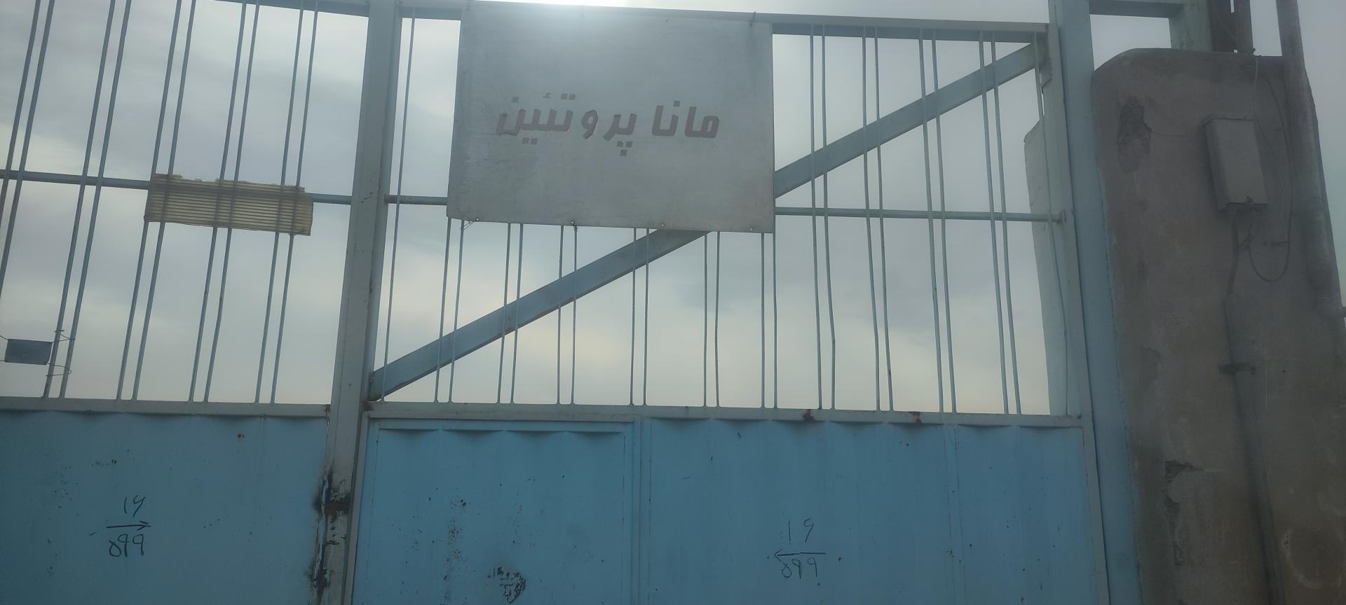 عکس مانا پروتئین 