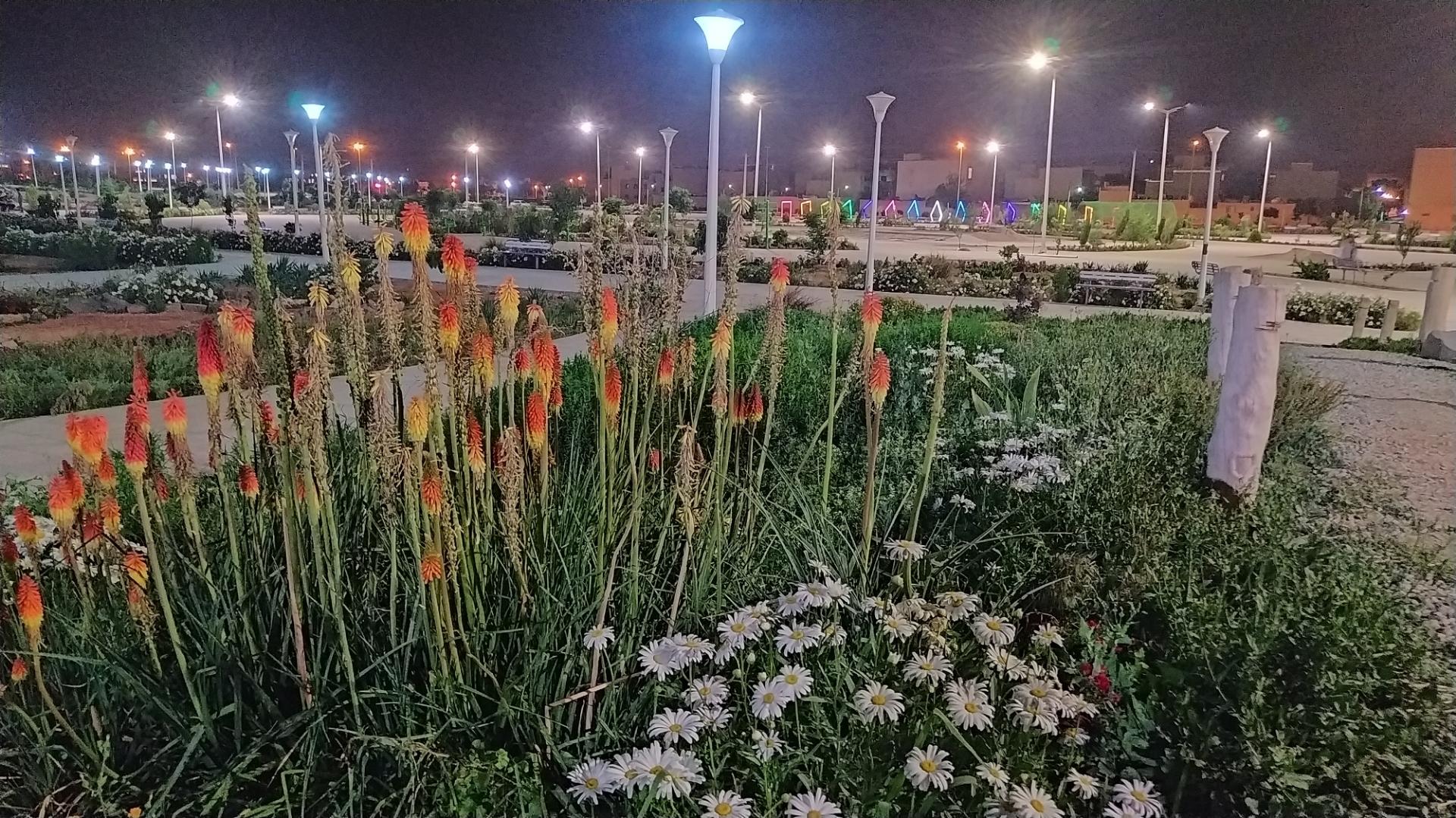 عکس بوستان حافظ (فاز دوم)