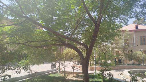 عکس عمارت امین السلطان (خانه تاریخی اتحادیه)