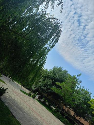 عکس بوستان بانوان