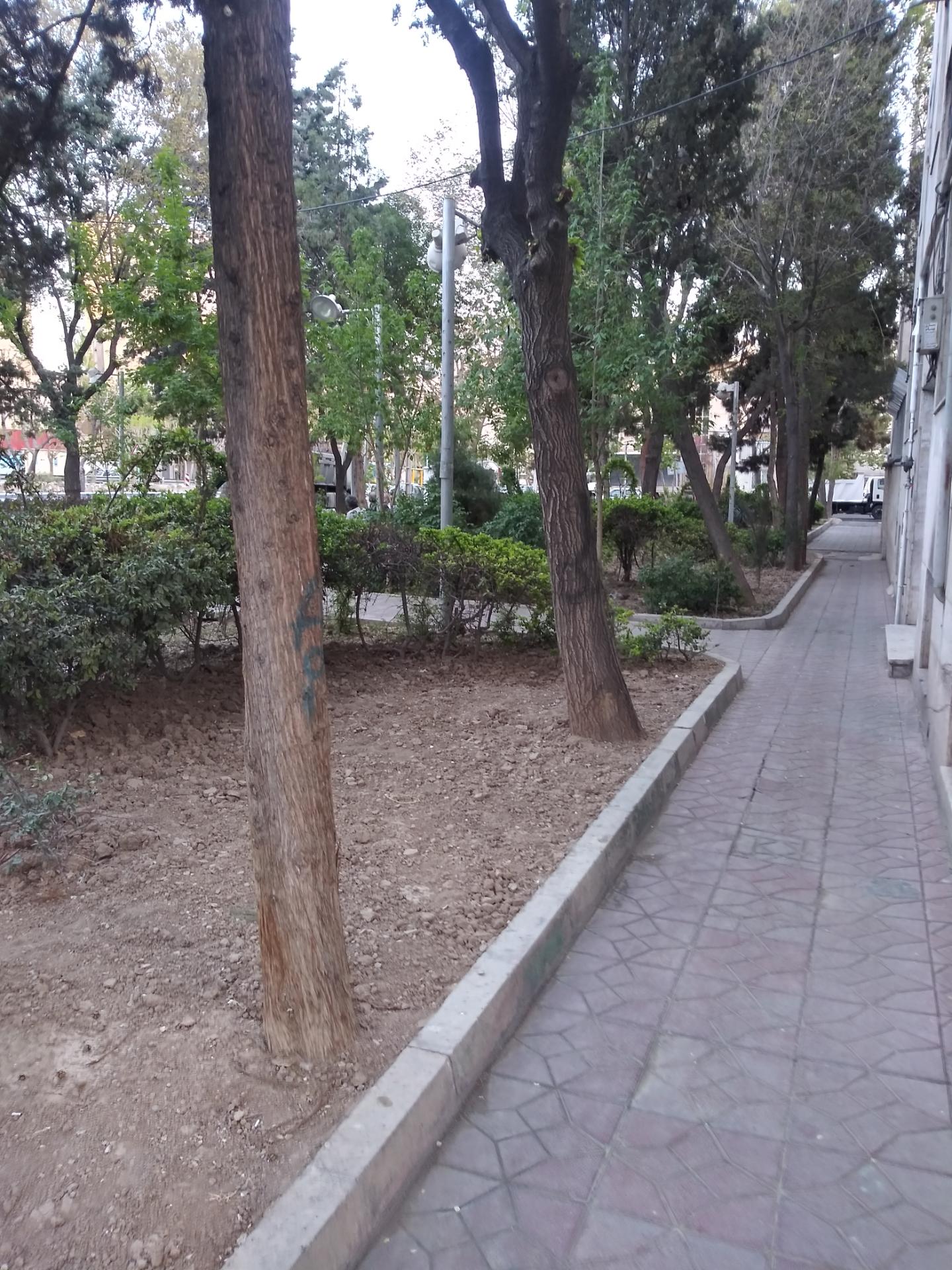 عکس بوستان شورا