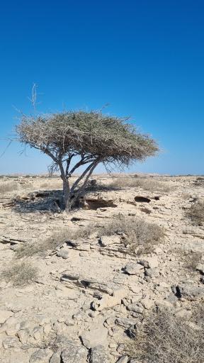 عکس ساحل خماسی
