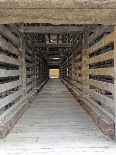 عکس سیمان ری (کارخانه متروکه)